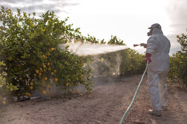 Best Commercial Pest Control Services  in Ottawa, OH