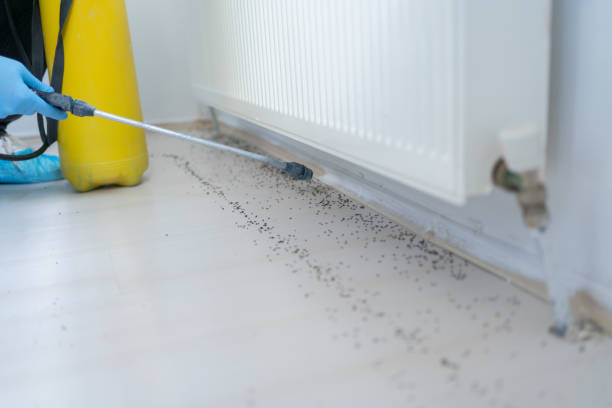 Pest Prevention Services in Ottawa, OH