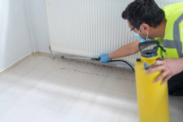 Best Cockroach Control Services  in Ottawa, OH